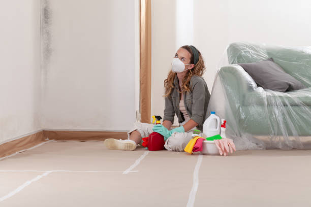 Reliable Mold Testing contractor in Broadway, NC by WQB Mold Removal